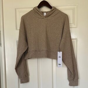 ALO Yoga Women's Tan Cropped Hoodie
